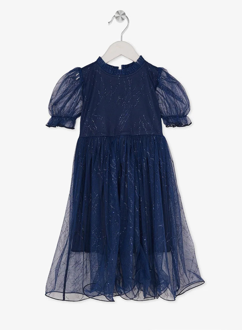 Little Fancy Net Dress