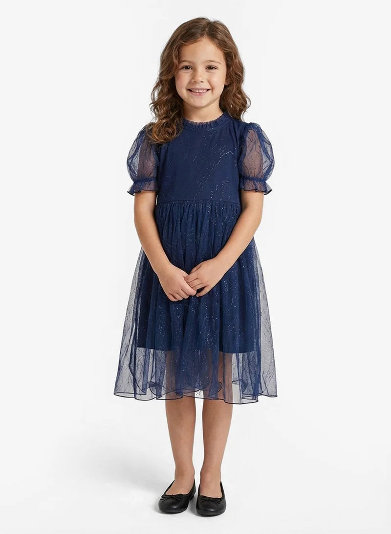 Little Fancy Net Dress