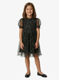 Little Sparkle Mesh Dress