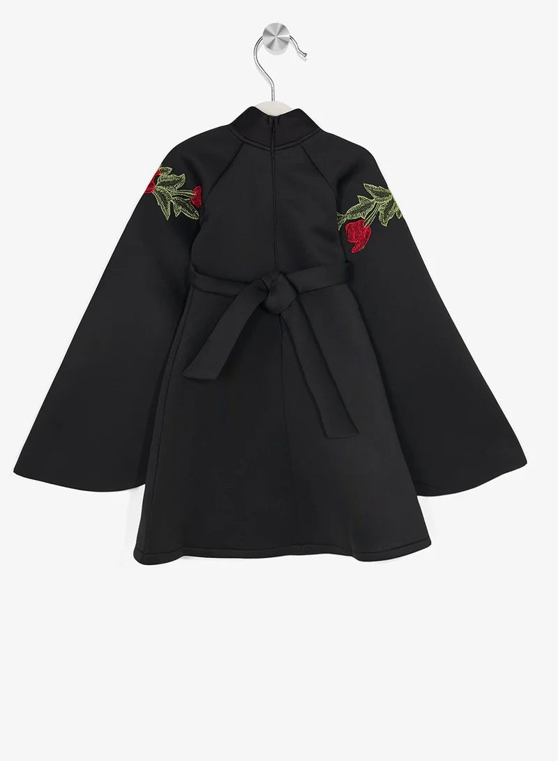 Little Rose Embroidered Dress