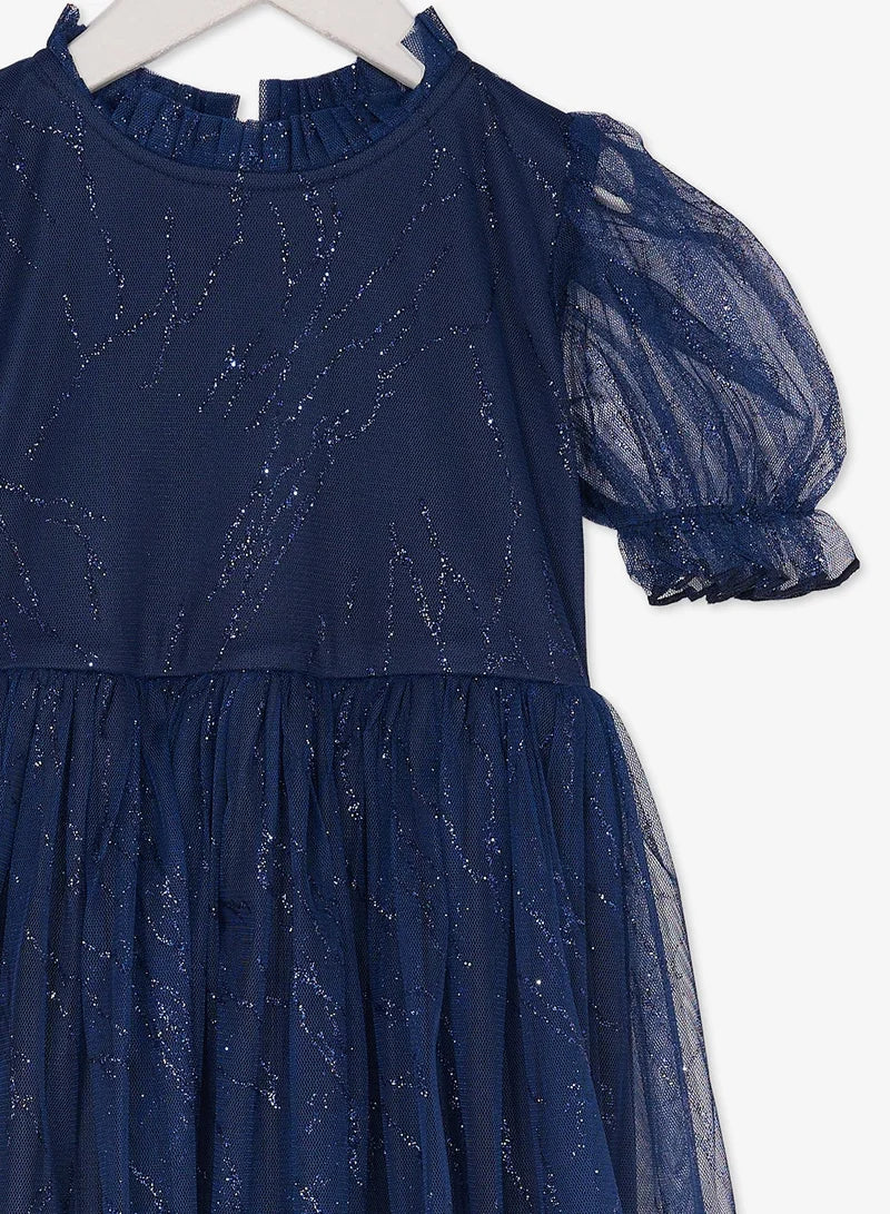 Little Fancy Net Dress