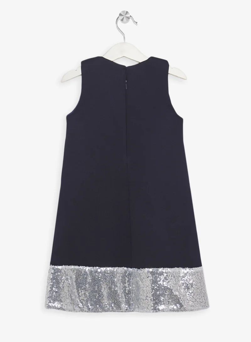 Little Sequin Detailed Dress