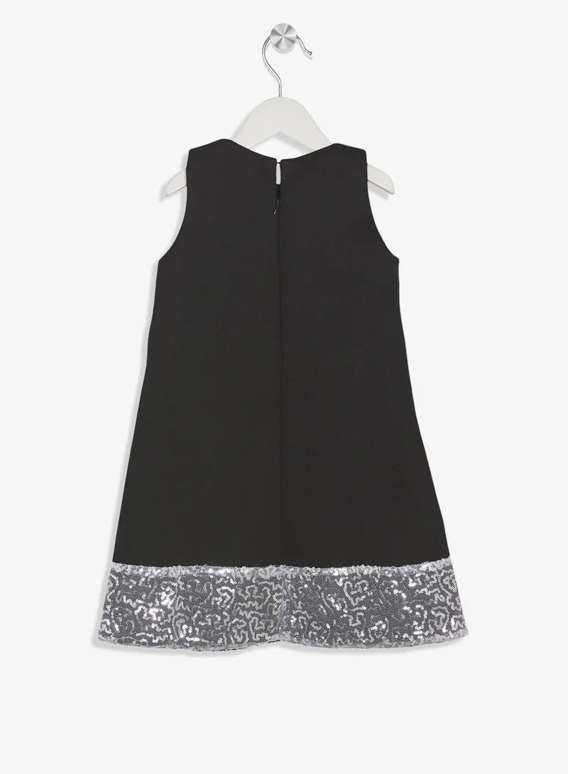Little Sequin Detailed Dress