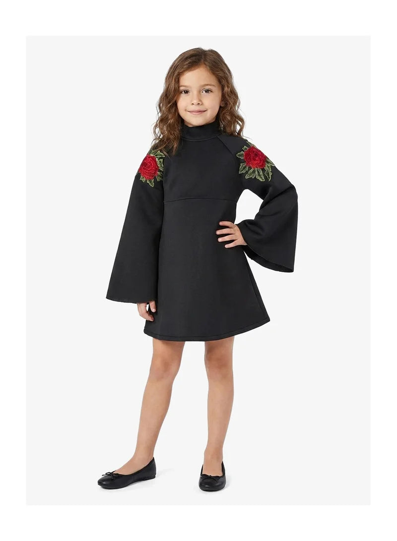 Little Rose Embroidered Dress