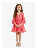 Little Ruffle Sleeve Dress