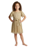Little Metallic Pleated Dress