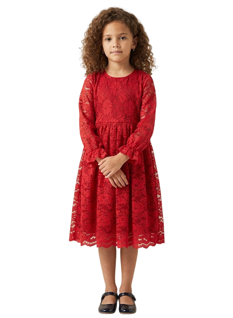 Lace A-Line Dress