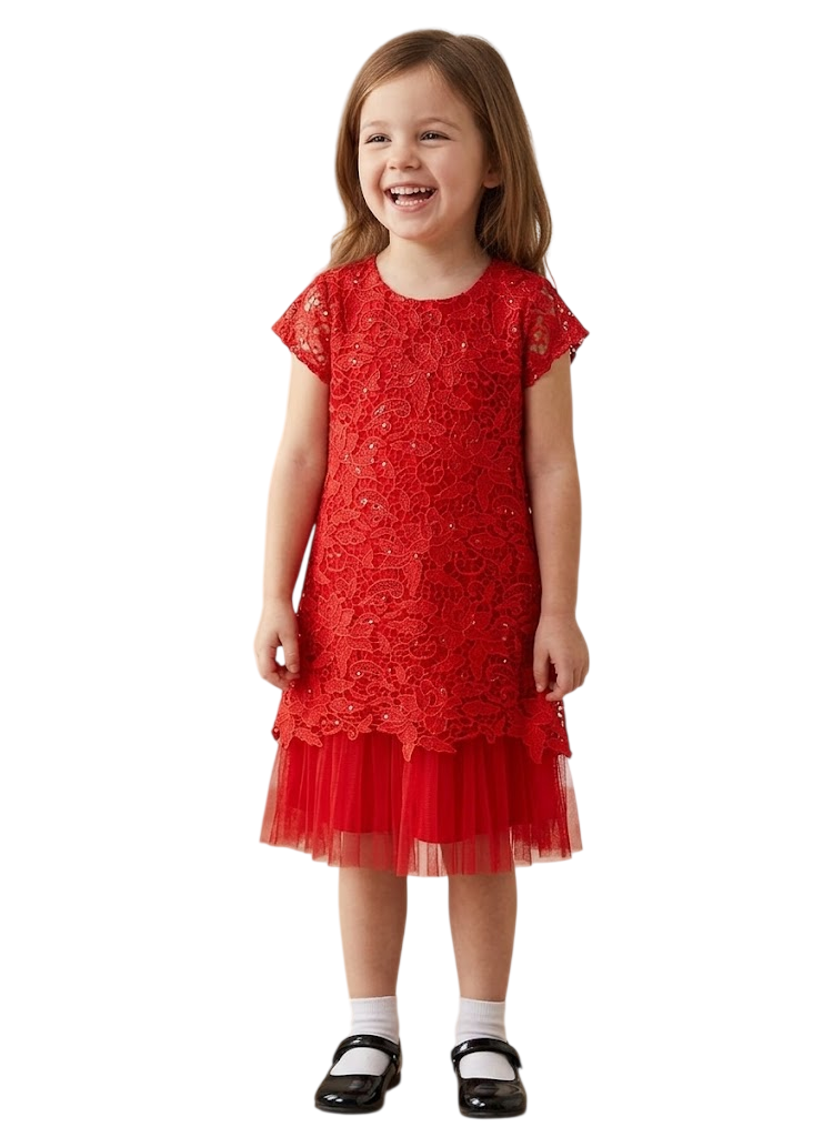 Lace Overlay Tulle Dress