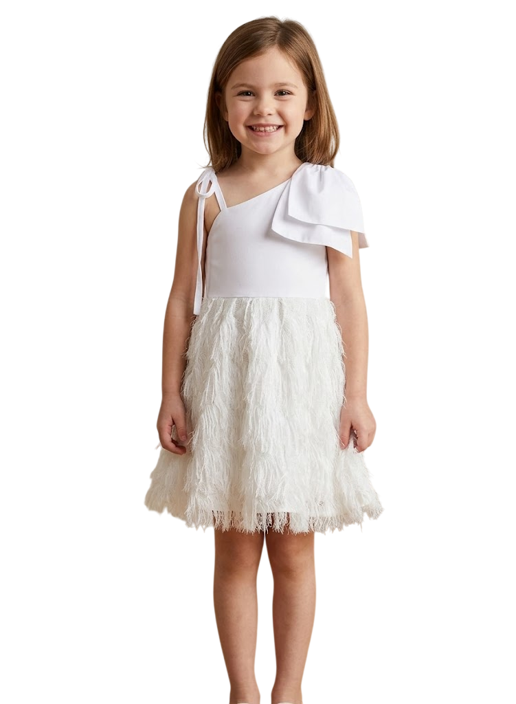 Fringe Party Dress