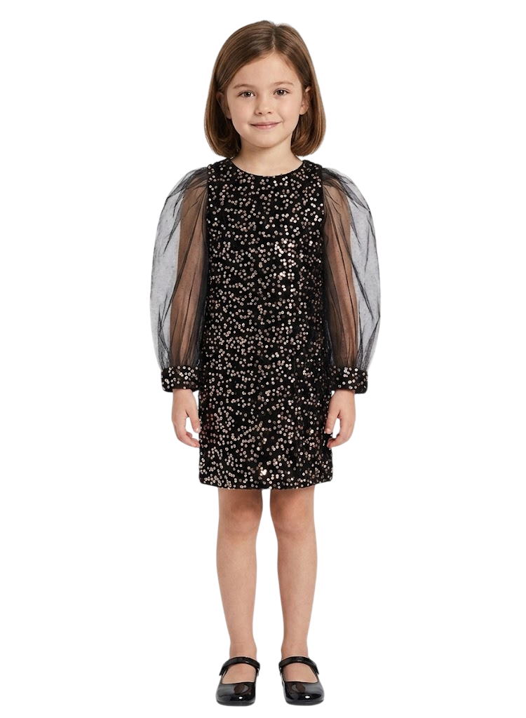 Little Puff Sleeve Sequin Dress